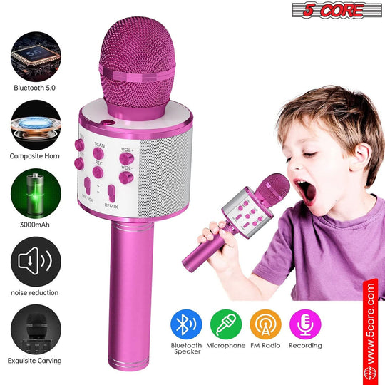 Handheld Cordless Singing Mic