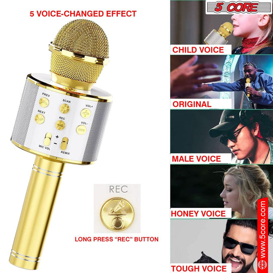 Handheld Cordless Singing Mic